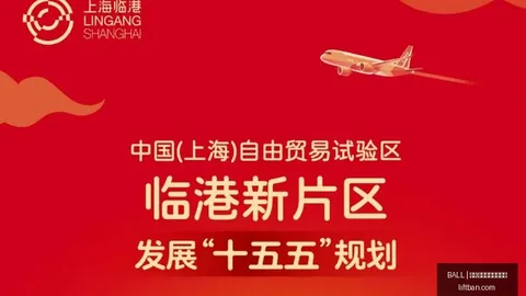 双胞胎育儿全攻略：新手爸妈终极指南